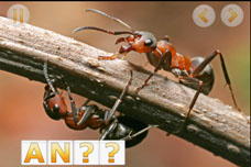 Ants iPhone Spelling App for Kids