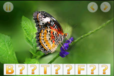 Butterfly iPhone App for Kids