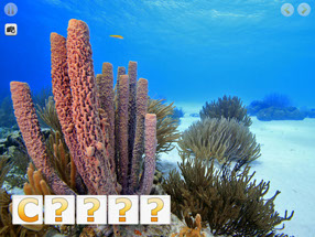 Apps for Kids with Sea Life